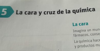 Mosca Ladrona Mexicana: Consejos y Tratamientos Naturales 10 mosca ladrona mexicana consejos y tratamientos naturales