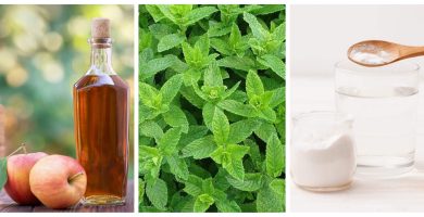picaduras de moscas como prevenir y tratarlas