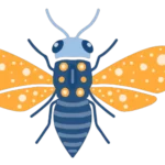 las patas de una mosca