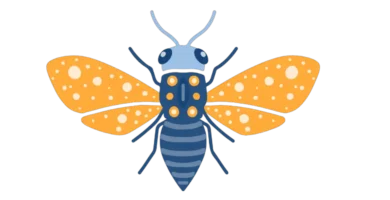 las patas de una mosca