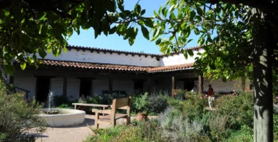 Moscas en el patio: por qué hay tantas y cómo quitarlas de raíz 5 Patio interior de una casa con plantas, suelo de ladrillo y zonas de sombra