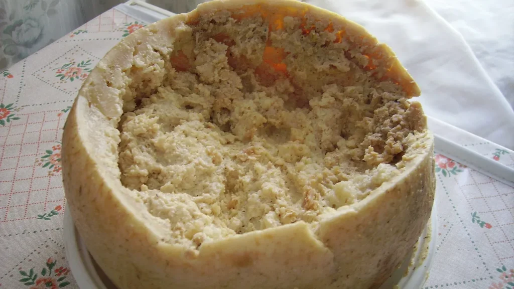 Casu marzu (moscas y quesos) 13 Queso casu marzu, típico de Cerdeña, con larvas de mosca