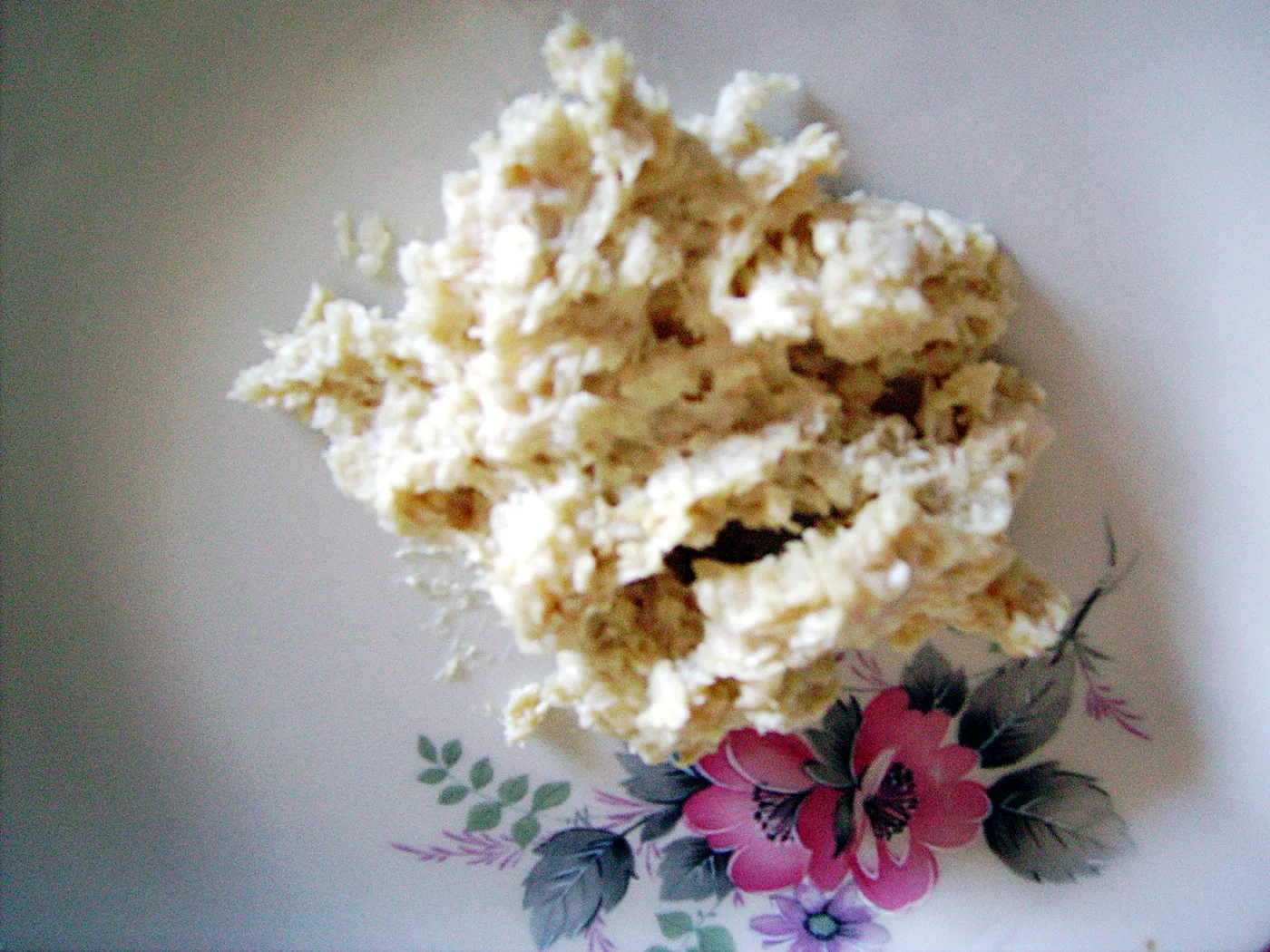 Casu marzu (moscas y quesos) 16 Crema de casu marzu, el queso sardo deshecho por las larvas