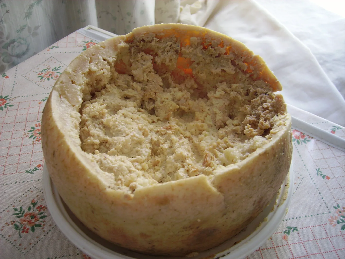 Casu marzu (moscas y quesos) 14 Casu marzu, el queso con gusanos de Cerdeña, abierto por arriba