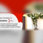 cortinas mosquiteras contra moscas 16x9 1