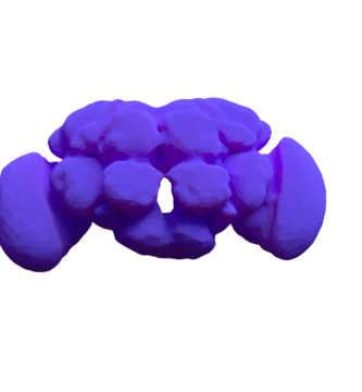 Vista frontal del cerebro de una mosca de la fruta (Drosophila melanogaster)