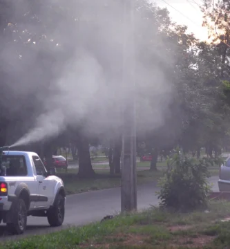 Fumigar moscas: cómo se hace y qué producto sirve 1 Trabajador con equipo de nebulización aplicando insecticida en la calle, con una nube de niebla sobre la vía pública