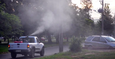 Trabajador con equipo de nebulización aplicando insecticida en la calle, con una nube de niebla sobre la vía pública