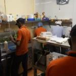 Equipo de cocina trabajando en un restaurante