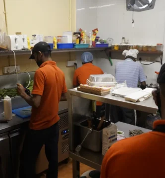 Moscas en restaurantes y bares: cómo controlarlas de verdad 2 Equipo de cocina trabajando en un restaurante