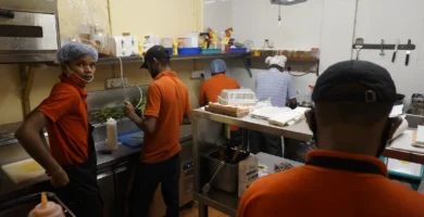 Moscas en restaurantes y bares: cómo controlarlas de verdad 5 Equipo de cocina trabajando en un restaurante