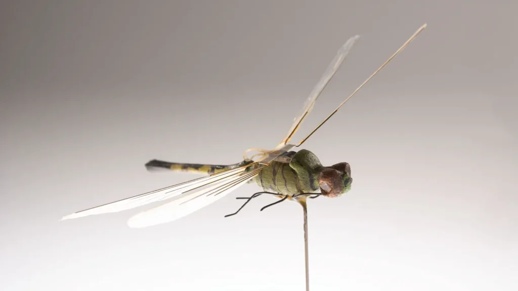 Mosca espía: qué es y qué dron insecto existe de verdad 1 Insectothopter, el dron de la CIA con forma de insecto (años 70)