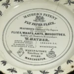 Plato inglés de papel matamoscas con moscas dibujadas en el borde, hacia 1867-1900