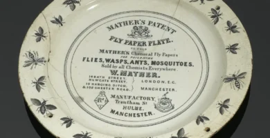Plato inglés de papel matamoscas con moscas dibujadas en el borde, hacia 1867-1900